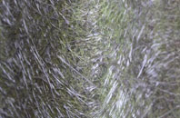 Gringley On The Hill fibreglass roof work